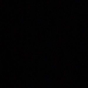 Meet your Posher, Ricky